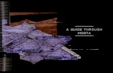 A guide through mosta