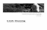 Linh Duong