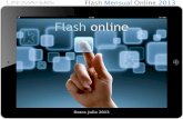 Flash Internet - Datos Julio 2013