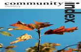 Community Index Didsbury Nov 2010