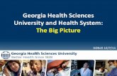 Georgia Health Sciences University and Health System: The Big Picture