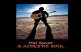 Hal Savar & Acoustic Soul Press Kit