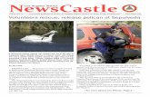 NewsCastle - December 2012