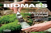 Biomass Magazine - September 2009