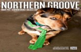 Northern Groove March 2011