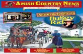 June 2011 Amish Country News
