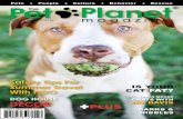 The Pet Planet Magazine, Summer 2010 - South Florida Edition