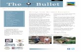 The Bullet Issue 5 Newsletter