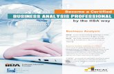 Mcal business analysis brochure