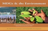 MDGs & the Environment