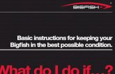 Bigfish Basic Maintenance Guide