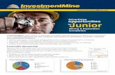 Advertising Opportunities for Junior Mining Companies