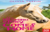 The Palomino Pony Comes Home - preview