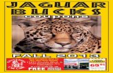 Jaguar Bucks