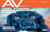 AV Magazine Issue 1-3 2013
