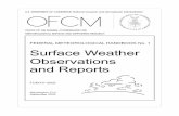 FHM-1 Surface Weather Observations and Reports
