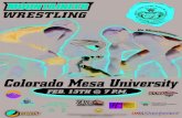 Western Wrestling Game Program - Colorado Mesa