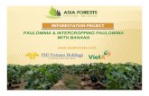 Asia reforestations presentation