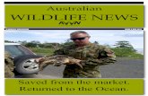 Australian Wildlife News 8