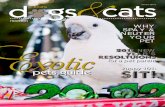 Texas Dogs and cats magazine January 2012