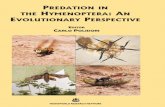 Predation in the Hymenoptera: An Evolutionary Perspective