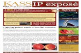 KASS IP exposé - August 2013