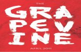 GBC April 2011 Grapevine