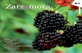 Revista Zarzamora 0.1