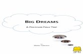 Big Dreams - A Pratham Field Trip