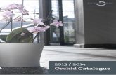 Orchid Catalogue