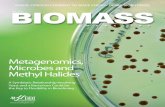 Biomass Magazine -July 2009