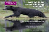 Wildlife watching hides – an inspirational guide 1.0 (by Rewilding Europe)