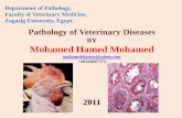 Pathology of Poultry Diseases
