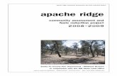 apache ridge community report