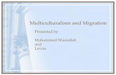 Presentation multiculturalism and migration