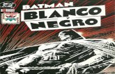 Batman: Blanco y Negro Vol. 2