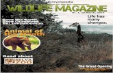 Wildlife  Magazine