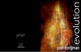 Yoel tordjman evolution artworks 06 2013
