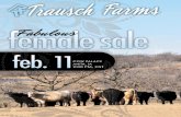 Trausch Farms Fabulous Female Sale