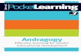 Pocket Learning 3 - Andragogia