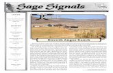 Nevada Cattlemen's Association Sage Signals July 2012