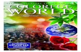 Colorful World Program Booklet