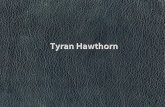 Tyran Hawthorn Photographic Portfolio 2013