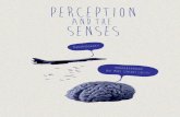 Perception and the Senses