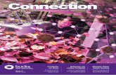 Connection Issue 17