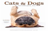 Cats & Dogs and other pets, too!