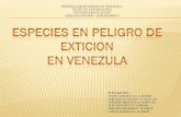 especies en peligro de exticion en venezuela