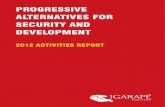 Igarape Institute 2012 Activities Report