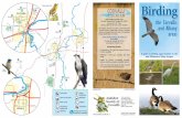 Birding Opportunities Guide for Corvallis and Albany, Oregon