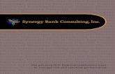 About Synergy Bank Consulting